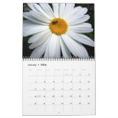 Blume Kalender (Jan 2026)