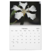 Blume Kalender (Feb 2027)