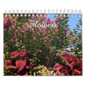 Blume Kalender (Titelbild)