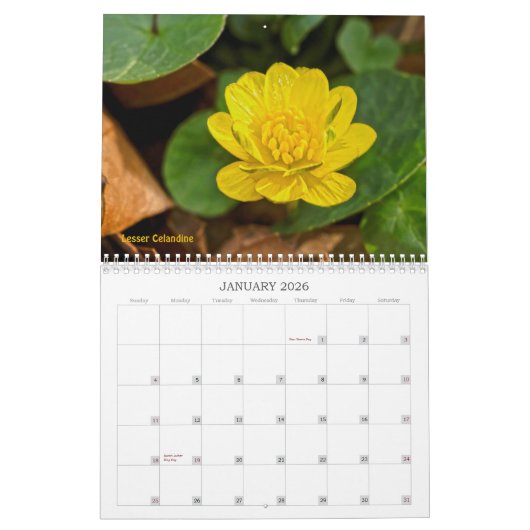 Blume Kalender (Jan 2026)