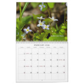 Blume Kalender (Feb 2026)