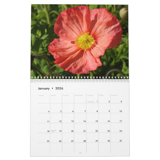 Blume Kalender (Jan 2026)