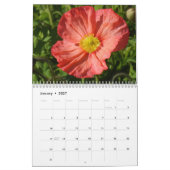 Blume Kalender (Jan 2027)