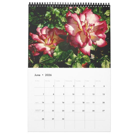 Blume Kalender (Jun 2026)