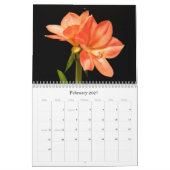 Blume Kalender (Feb 2027)