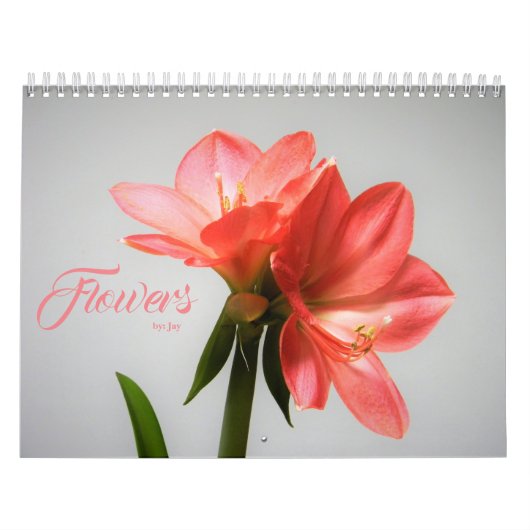 Blume Kalender (Titelbild)