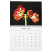 Blume Kalender (Jan 2026)