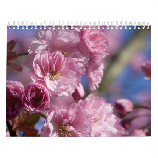 Blume Kalender (Titelbild)