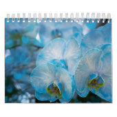 Blume Kalender (Titelbild)