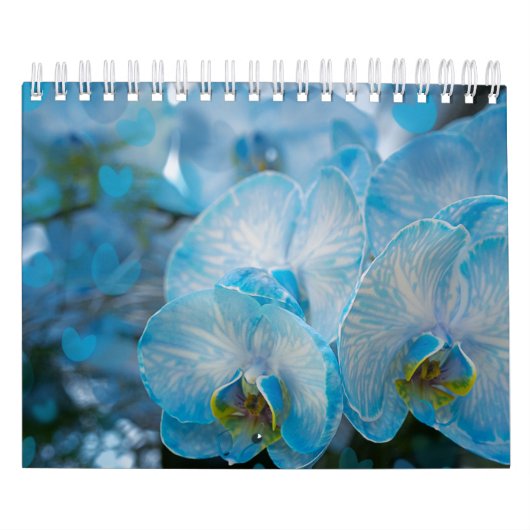 Blume Kalender (Titelbild)
