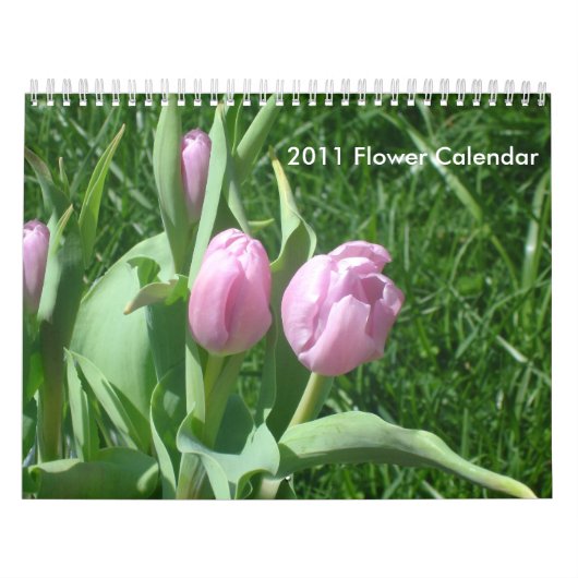 Blume-Kalender 2011 Kalender (Titelbild)