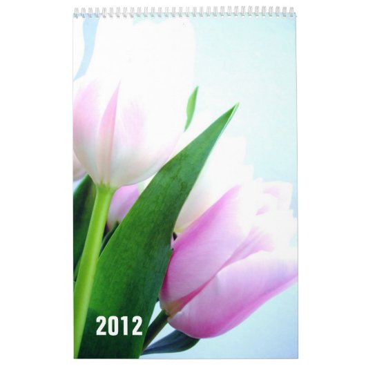 Blume-Kalender 2012 Kalender (Titelbild)