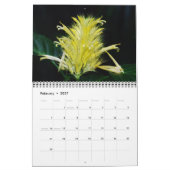 Blume-Kalender 2016 Kalender (Feb 2027)