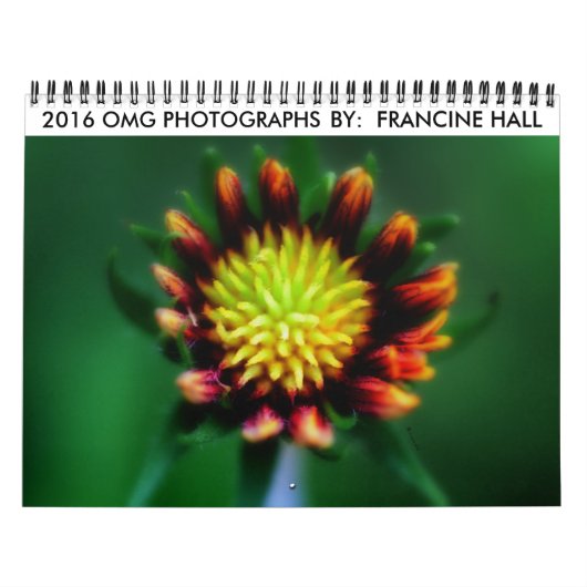 Blume-Kalender 2016 Kalender (Titelbild)