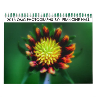 Blume-Kalender 2016 Kalender