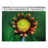 Blume-Kalender 2016 Kalender (Titelbild)