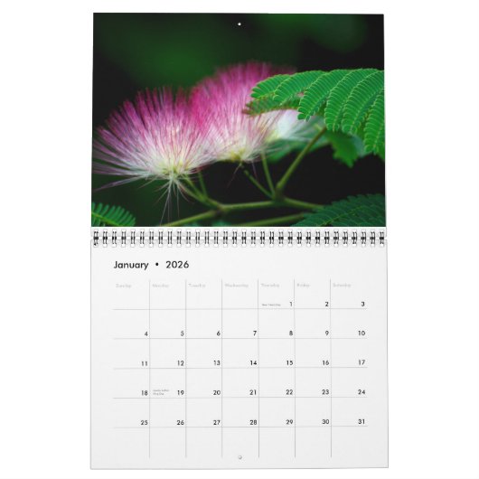 Blume-Kalender 2016 Kalender (Jan 2026)