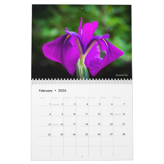 Blume-Kalender 2019 Kalender (Feb 2026)