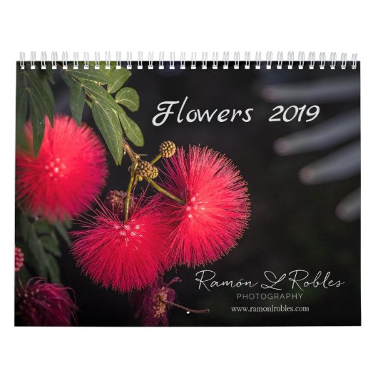 Blume-Kalender 2019 Kalender (Titelbild)