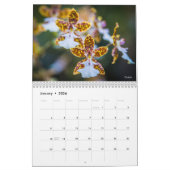Blume-Kalender 2019 Kalender (Jan 2026)