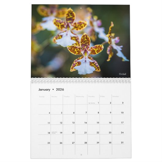 Blume-Kalender 2019 Kalender (Jan 2026)