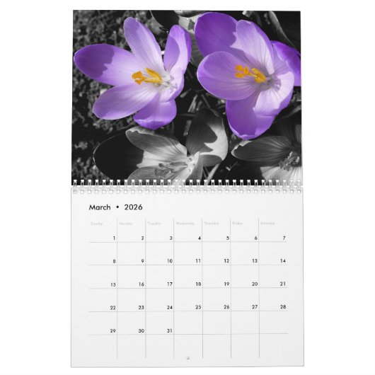 Blume-Kalender 2023 Kalender (Mär 2026)