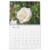 Blume-Kalender 2024 Kalender (Jan 2027)
