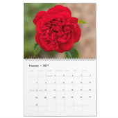 Blume-Kalender 2025 Kalender (Feb 2027)