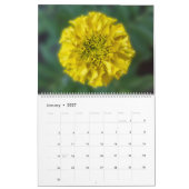 Blume-Kalender 2025 Kalender (Jan 2027)