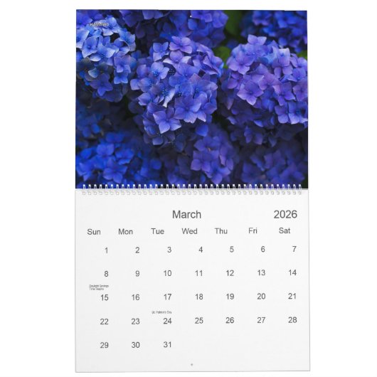 Blume Kalender #3 - HAMbyWG (Mär 2026)