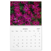 Blume Kalender #3 - HAMbyWG (Jan 2027)