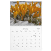 Blume Kalender #4 - HAMbyWG (Jan 2027)