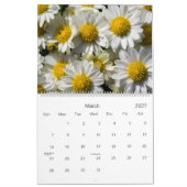 Blume Kalender #4 - HAMbyWG (Mär 2027)