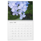 Blume-Kalender Kalender (Jan 2027)