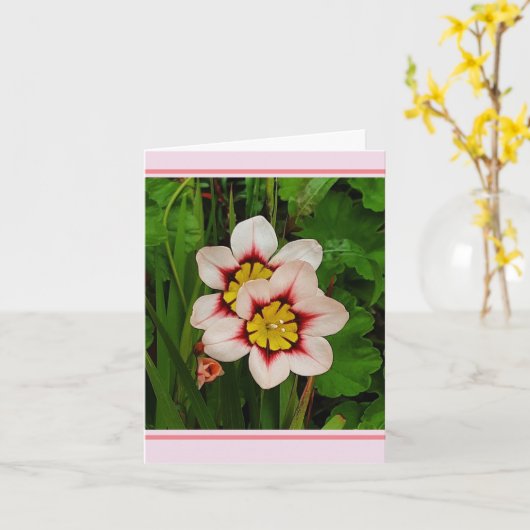 Blume Karte (Gelbe Blume)