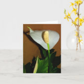 Blume Karte (Gelbe Blume)