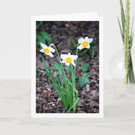 Blume Karte (Vorderseite)