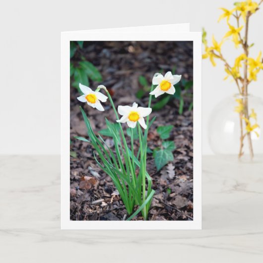 Blume Karte (Gelbe Blume)