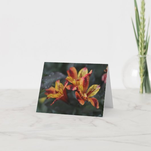 Blume Karte (Vorderseite)