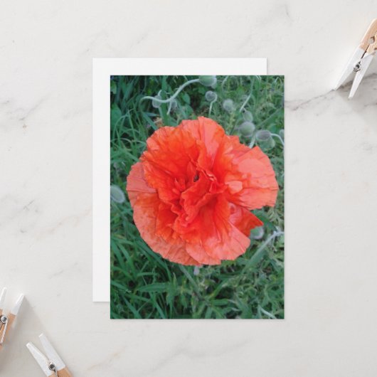 Blume Karte (Vorderseite/Rückseite Beispiel)