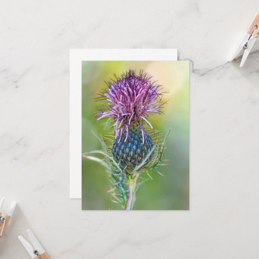 Blume Karte (Vorderseite/Rückseite Beispiel)