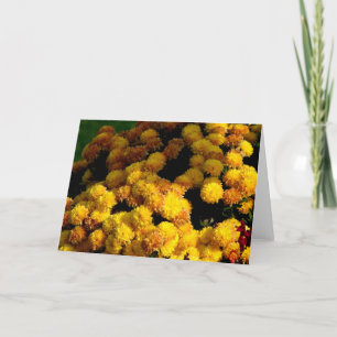 Blume Karte