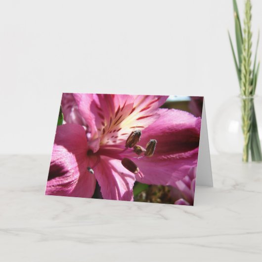 Blume Karte (Vorderseite)