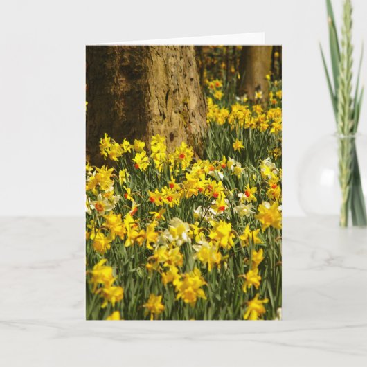 BLUME KARTE (Vorderseite)