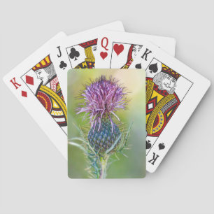 Blume-Karte Spielkarten