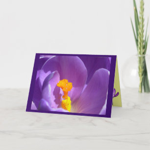 Blume Karten Crocus Blume Benutzerdefinierte Grußk