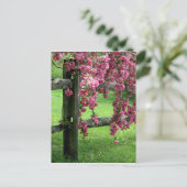 Blume Kaskade Postkarte (Stehend Vorderseite)