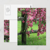 Blume Kaskade Postkarte (Vorne/Hinten)