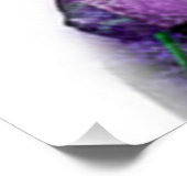 Blume Kate von Carole Benichou Poster (Ecke)