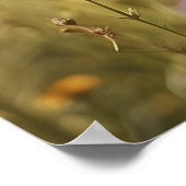 *~* Blume Kätzchen 5:4 Kätzchen Schmetterling AP68 Poster (Ecke)